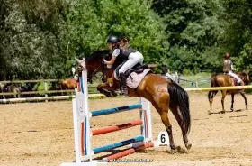Pony b
