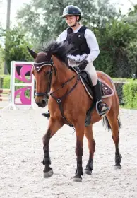 Top pony b