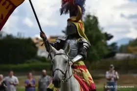 Hledám zodpovědného jezdce pro práci s koňmi