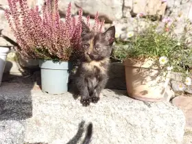 Holčička, které říkáme "Fantom opery"