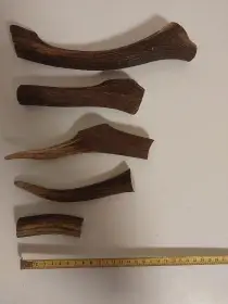 Pamlsky - Paroh pro psy