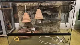 Prodám zařízené terárium