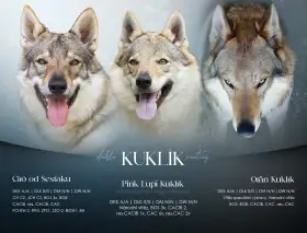 Tatanka a Trinity Kuklík