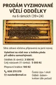 Prodám vyzimované včelí oddělky na 6 rámcích