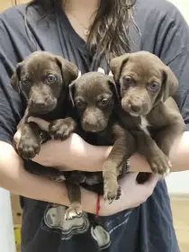 ESP psi pro aktivní život