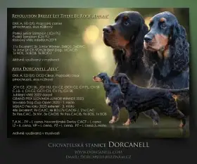 Gordonsetr s PP, setr