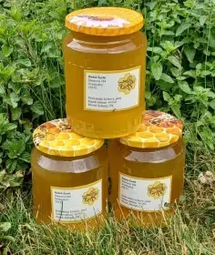 Včelí med  - akce