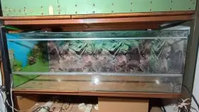 Prodám Velké Terárium š - 160, h - 60, v - 55 cm
