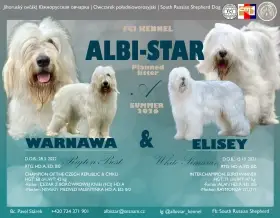 Štěňata jihoruského ovčáka s PP