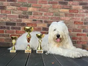 Warnawa Rajton- Bost