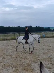 Krásná vysoká smíš.bělka ČT, letos 8 letá