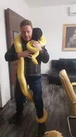 Krajta tmava albin 9let, 3,5m, 30kg