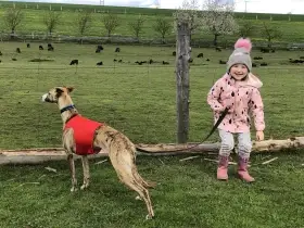 Coursing nás baví!