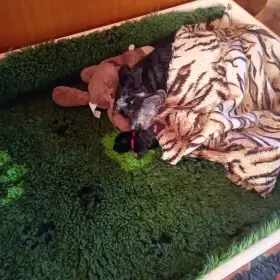 Krátce po porodu s mamkou