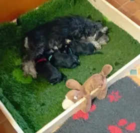 S mamkou Aki od Čeňule