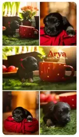 Už jsem hrnek přerostla