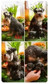 Fotila zase teta Petra