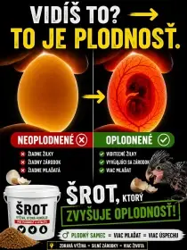 90% oplodněnost vajec u papoušků a exotického ptactva