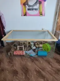 Terárium