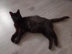 Daruji do dobrých rukou