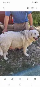 Matka