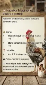 Prodej