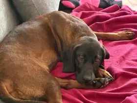 Matka