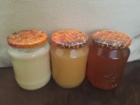 Včelí med přímo od včelaře