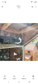 Prácheňský kanik