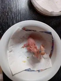 Vylihnu a rucne dokrmim