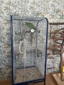 Ručně Dokrmena