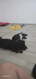 Chs od Hornohuťského potoka