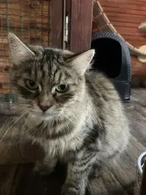 Bára a Edmond