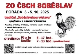 Soběslavská výstava
