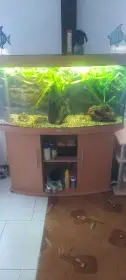 Akvarijní set
