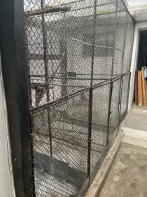 Voliéry, voliéra, klece