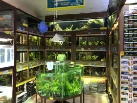 Kamenná prodejna Robimaus v Rudné