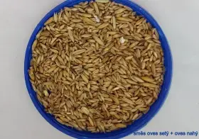 Lesknici, oves nahý, proso žluté a zelené , hrách, hrachové půlky