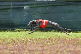 Matka Ambra Blue Infinity