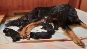 v den narození s maminkou