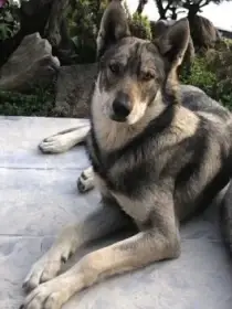 Thanos the Titan Miraja