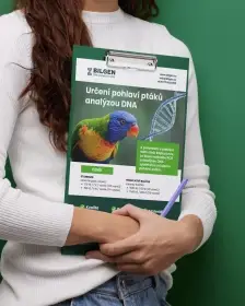 Laboratoř BILGEN - DNA testy pohlaví - sběr vzorků na burze v Kroměříži