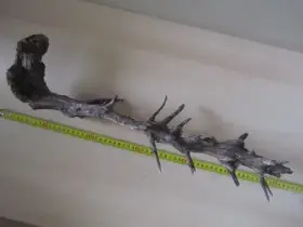 Kořen do akvaria 45cm aquascaping