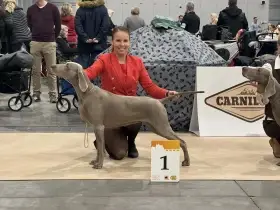 Matka vrhu F - Pepper