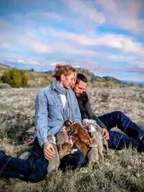 Bostonský teriér - štěňátka s PP - odběr červen 2026, podzim 2026