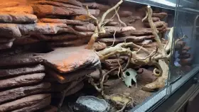 Pouštní bioterárium