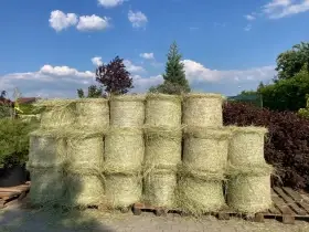 Seno v kulatých balících