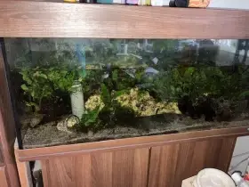 Akvarium se stolkem a filtrem, 240 l