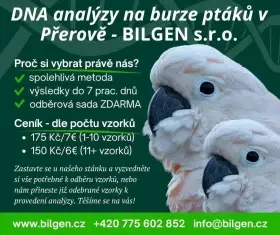 Laboratoř BILGEN - DNA testy pohlaví - burza Přerov 14.6.2026
