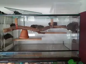Prodám celoskleněné terarium